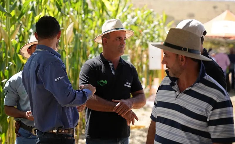 Técnico conversa com produtores em dia de campo na lavoura de milho